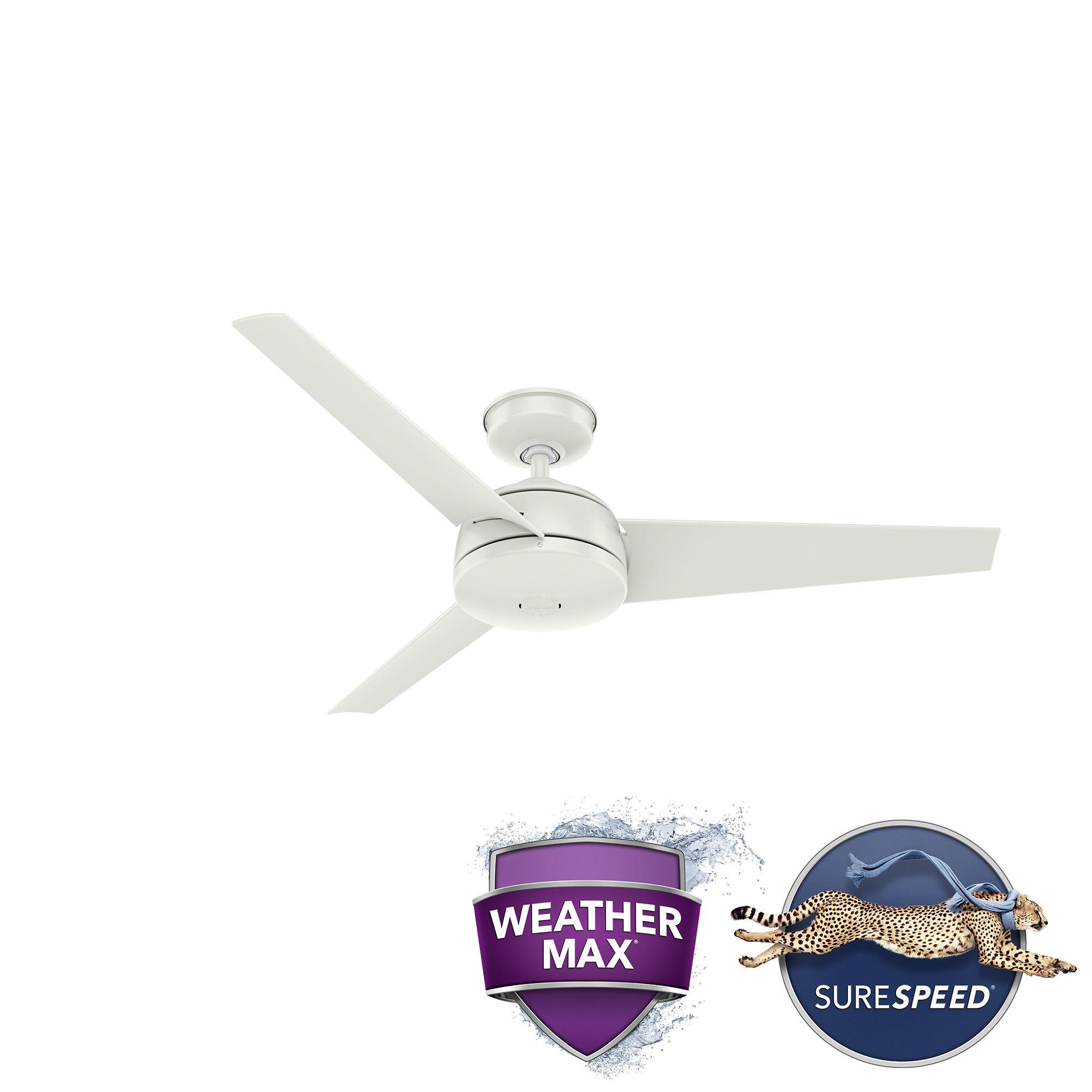 52" Hunter Trimaran Fresh White WeatherMax Fan with Wall Control in scene