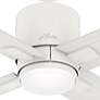 52" Hunter Visalia Matte White Damp Rated LED Ceiling Fan with Remote