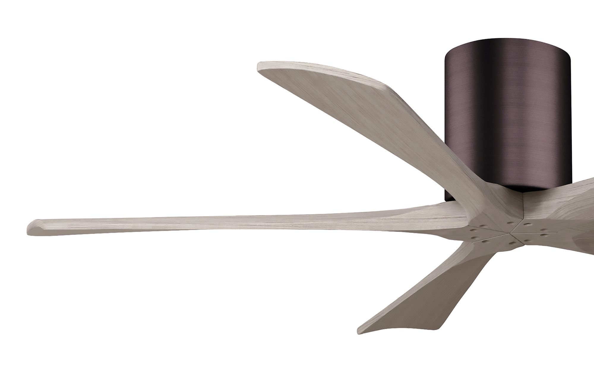 52" Irene-5H Brushed Bronze and Gray Ash Ceiling Fan