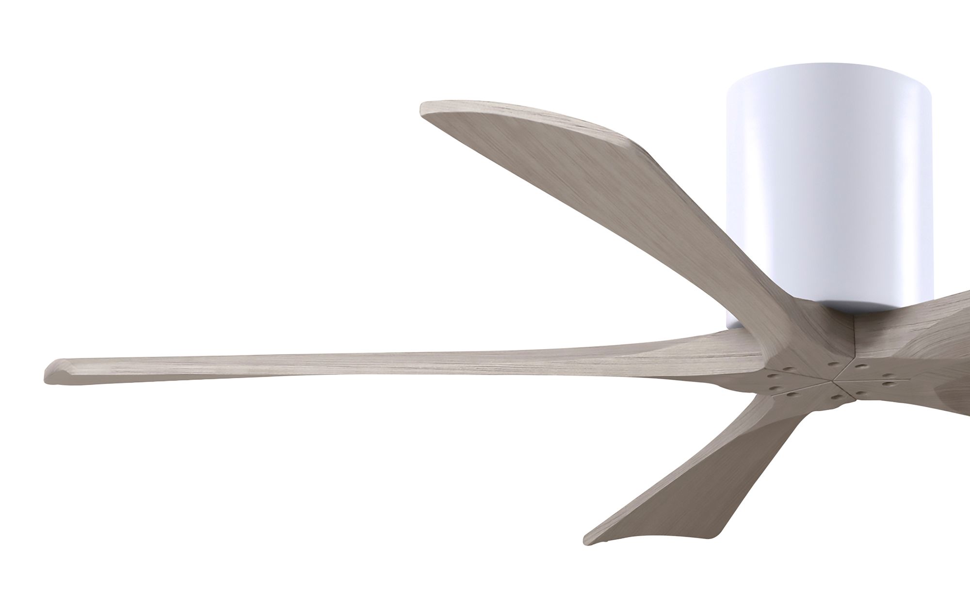 52" Irene-5H Matte White and Gray Ash Ceiling Fan