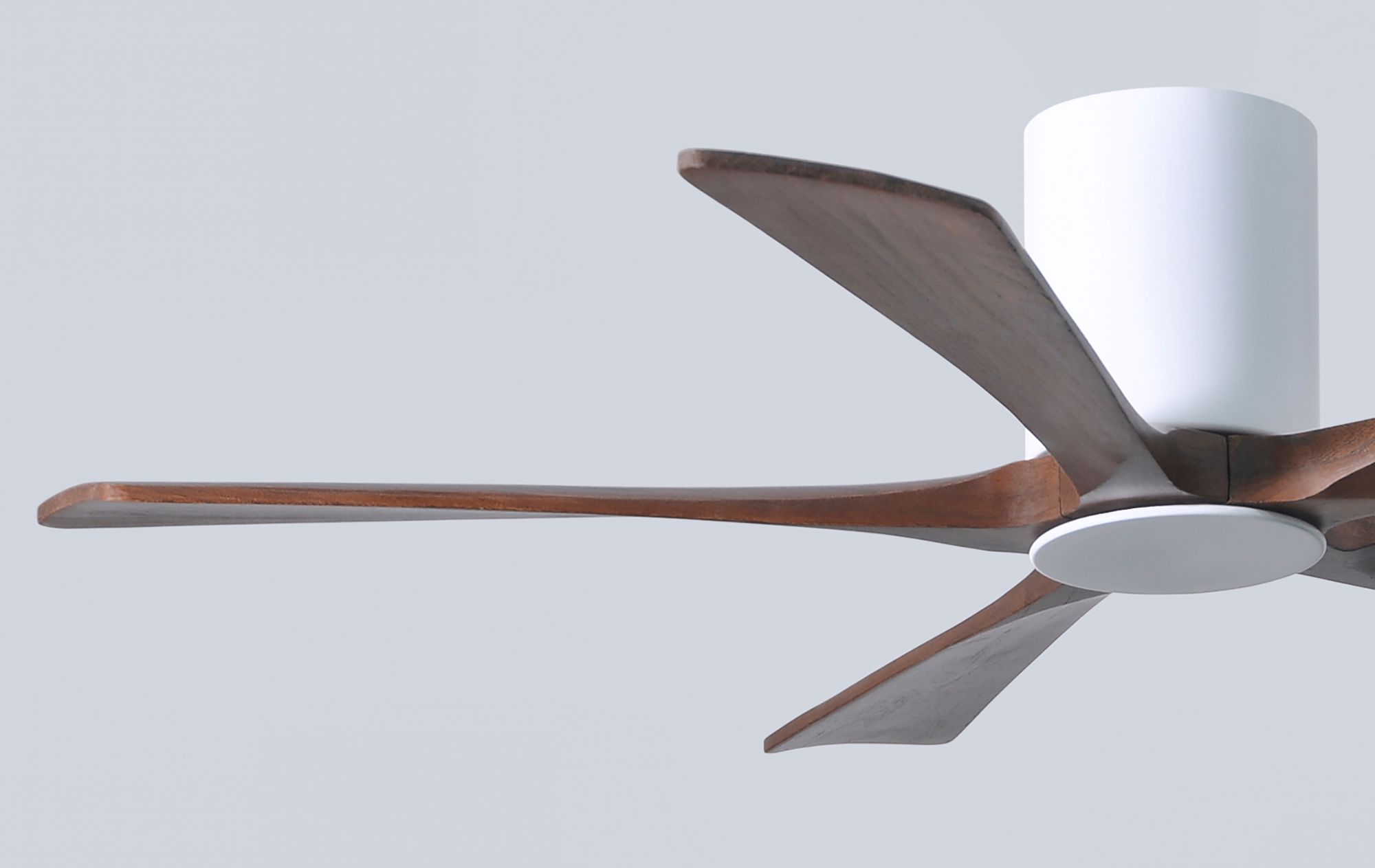52" Irene-5HLK LED Damp Gloss White and Walnut Ceiling Fan with Remote
