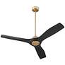 2_52" Oxygen Avalon Brass and Black Damp Ceiling Fan with Wall Control