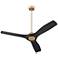 52" Oxygen Avalon Brass and Black Damp Ceiling Fan with Wall Control