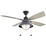 54" Kichler Seaside Zinc LED Rustic Wet Rated Fan with Pull Chain
