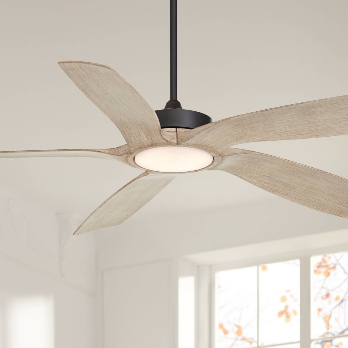 Black, Contemporary, Ceiling Fan With Light Kit | Lamps Plus