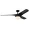 56" Akova Black Damp Rated LED Ceiling Fan with Remote
