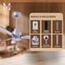 56" Matthews Alessandra 3-Blade Brushed Nickel Ceiling Fan with Remote