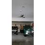 2_56" Matthews Eliza-H Brushed Nickel Matte Black Ceiling Fan more views