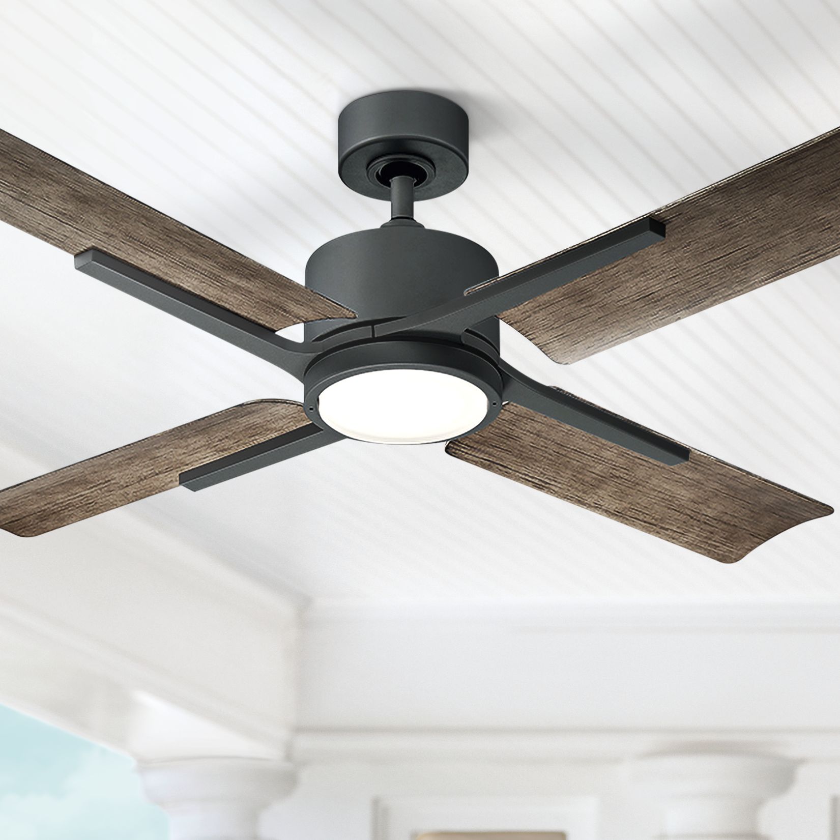 modern forms ceiling fans