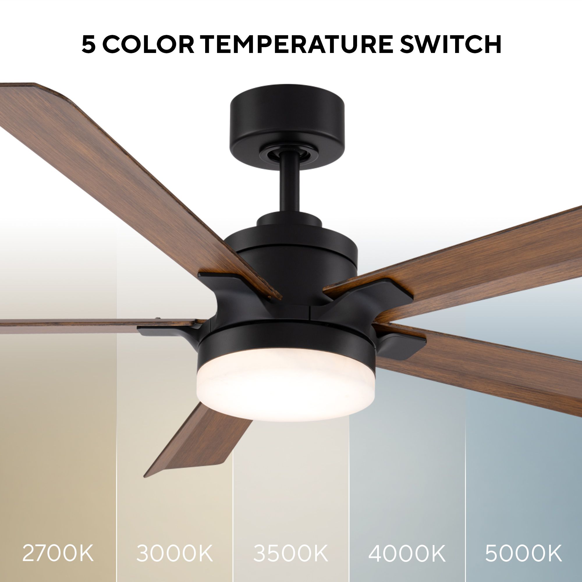 Image 6 56" Modern Forms Radiant 56 Matte Black more views