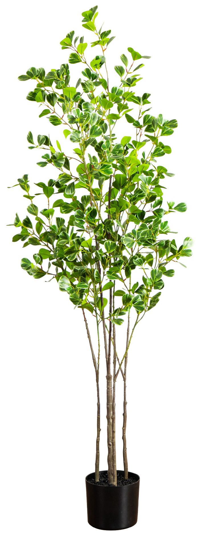 Image 2 5ft. Artificial Heart Shaped Ficus Leaf Tree