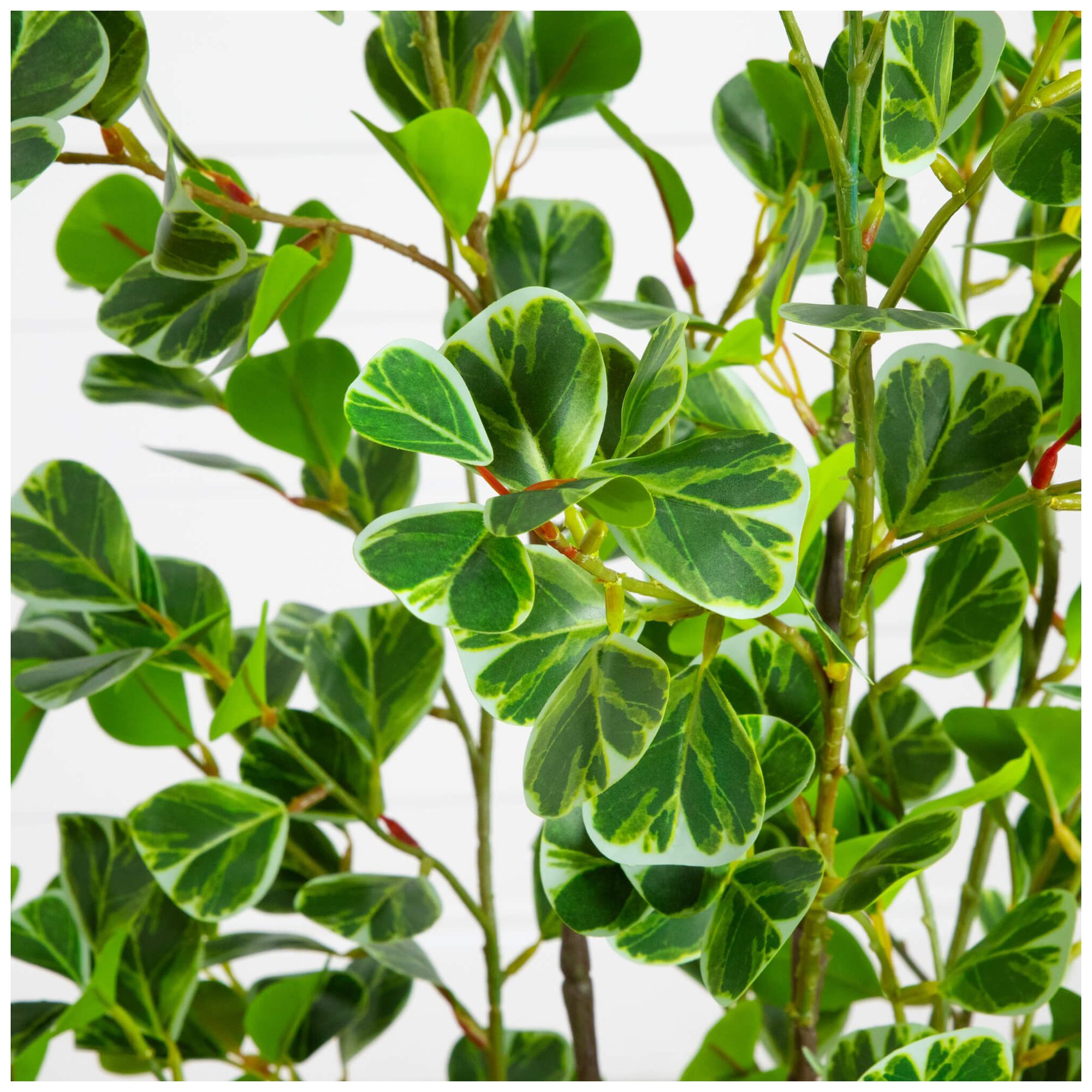 Image 4 5ft. Artificial Heart Shaped Ficus Leaf Tree more views