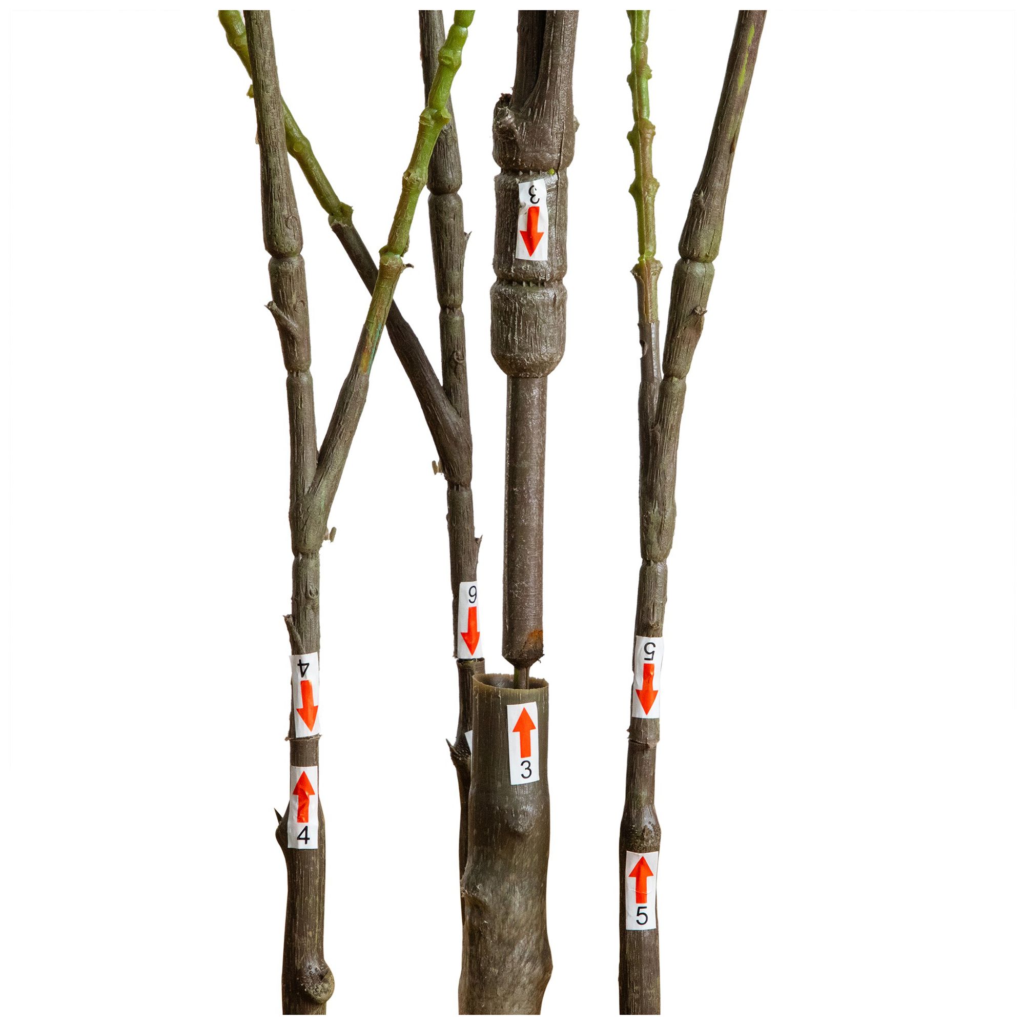 Image 6 5ft. Artificial Heart Shaped Ficus Leaf Tree more views