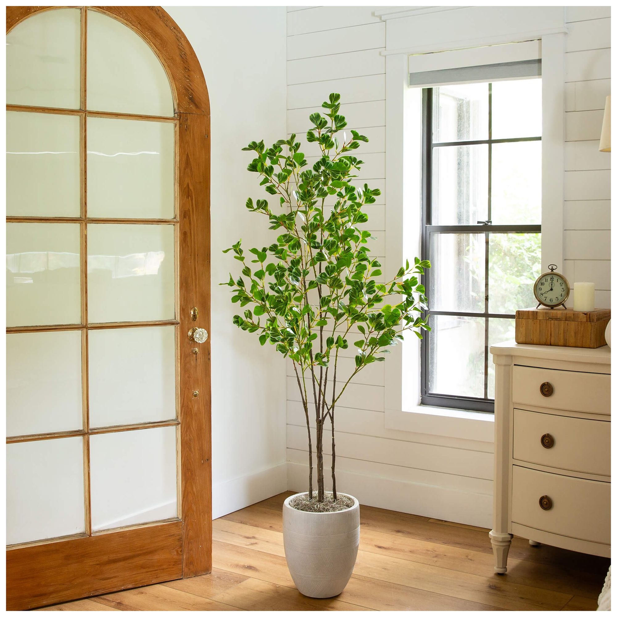 Image 7 5ft. Artificial Heart Shaped Ficus Leaf Tree more views