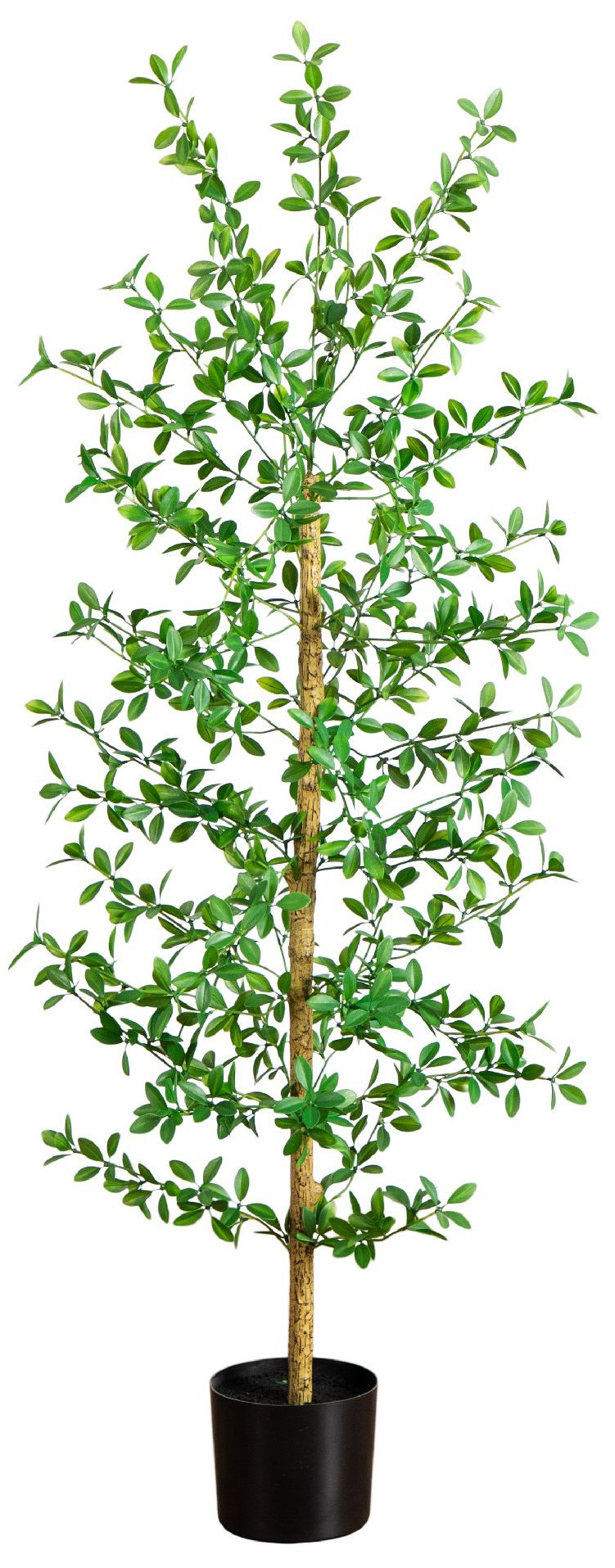 Image 2 5ft. Artificial Shady Lady Black Olive Tree