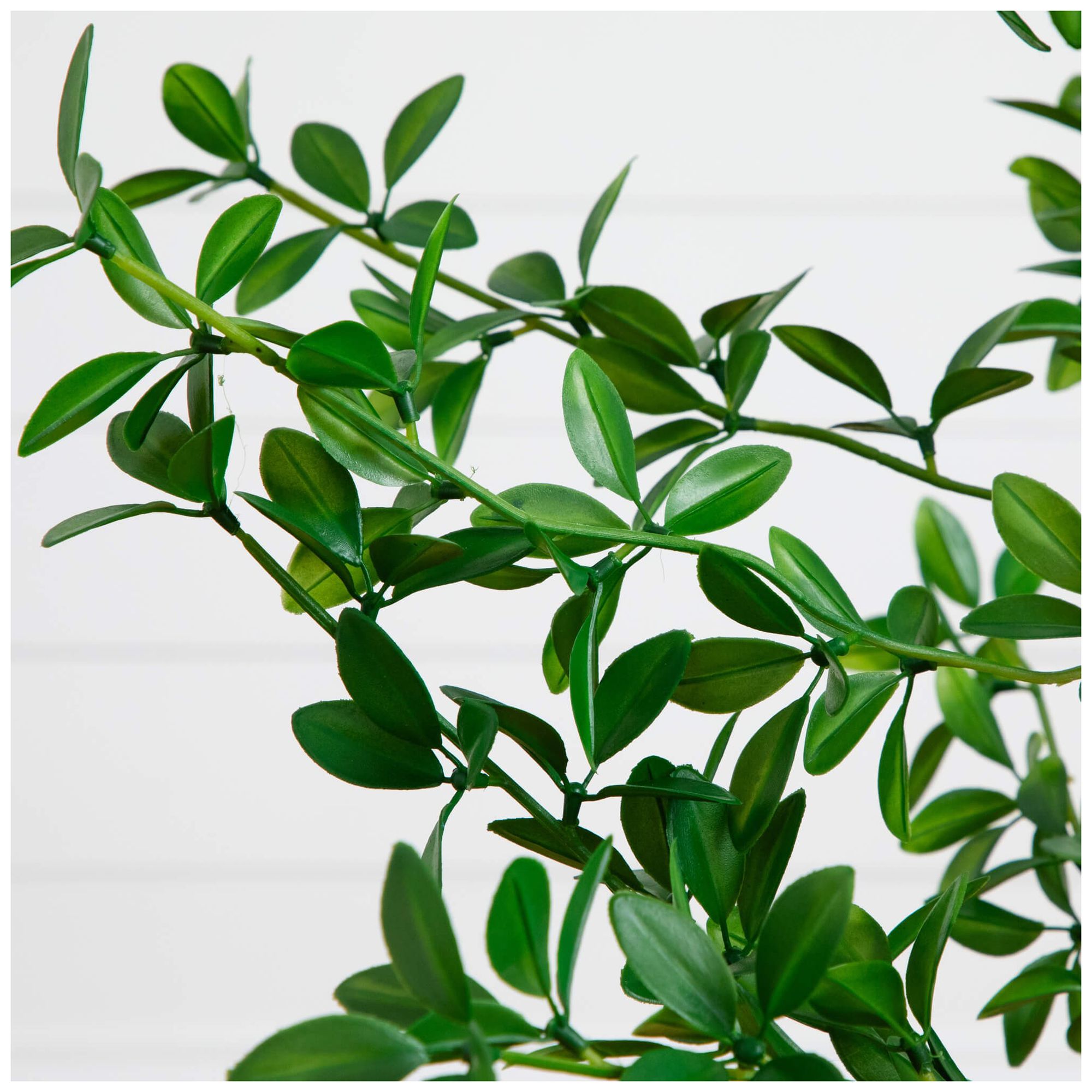 Image 4 5ft. Artificial Shady Lady Black Olive Tree more views