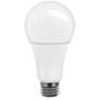 6 Watt E26 12 Volt A LED Light Bulb