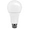 6 Watt E26 12 Volt A LED Light Bulb