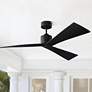 60" Adler Matte Black Damp Rated Ceiling Fan with Remote