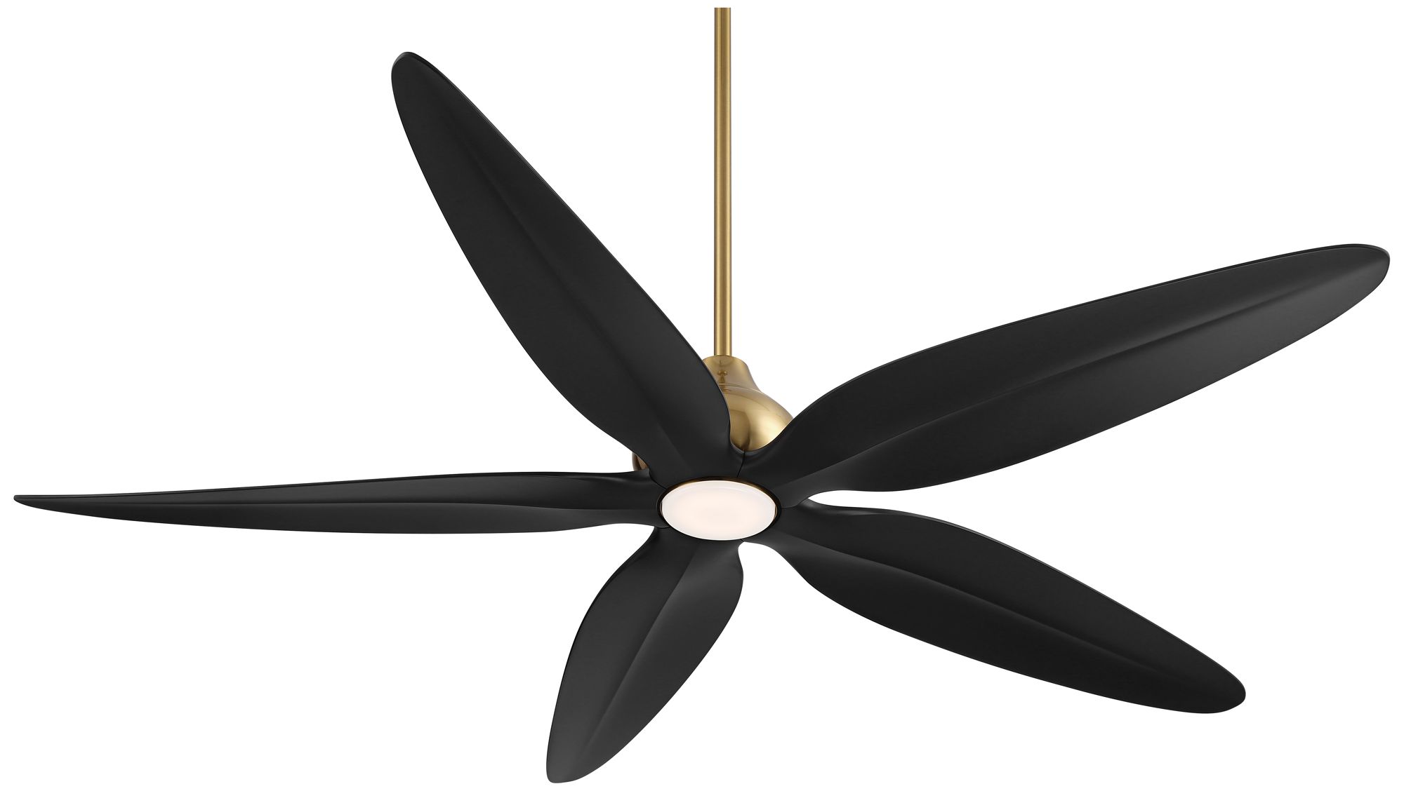 Watch A Video About the Casa Vieja Lotus Bay Brass and Black Damp Remote LED Ceiling Fan