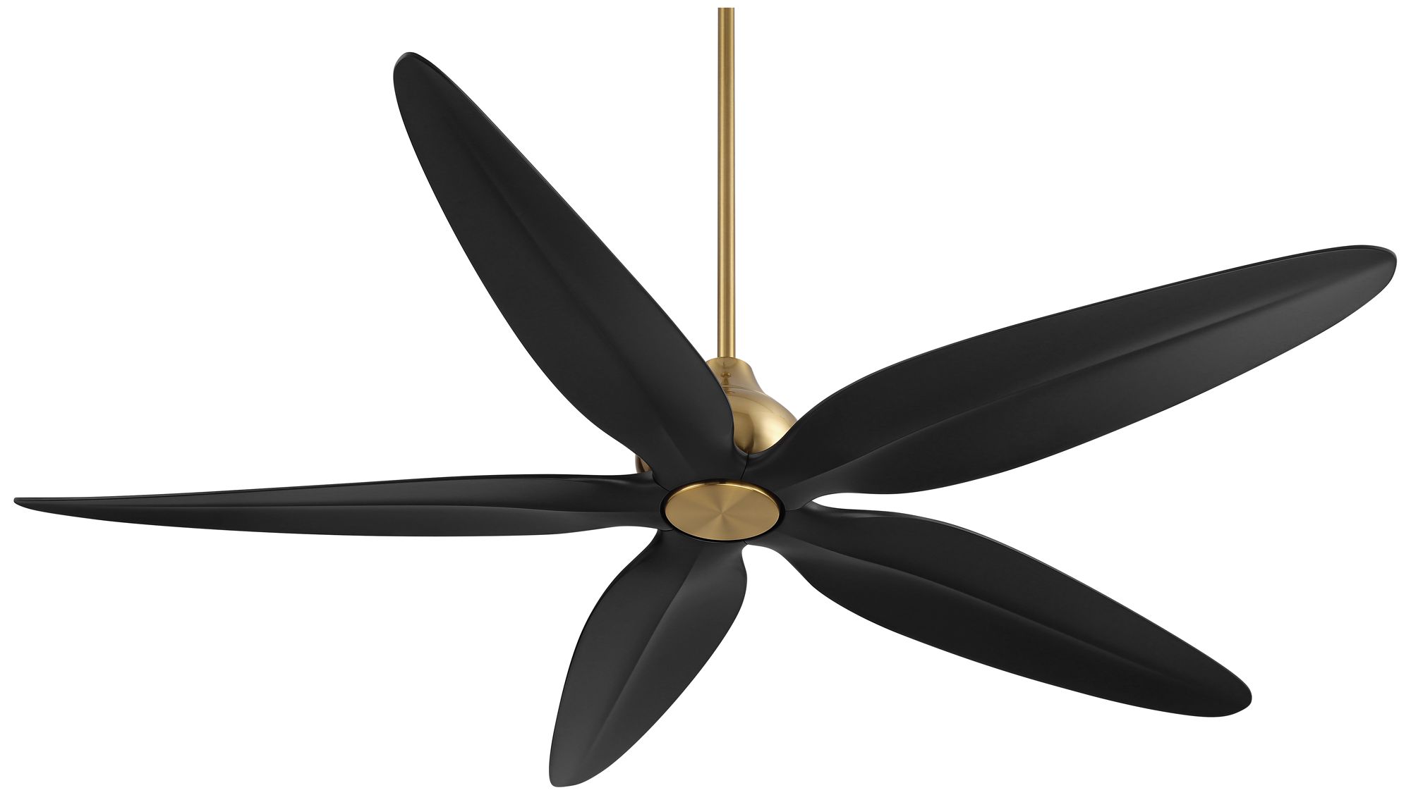 Watch A Video About the Casa Vieja Lotus Bay Brass and Black Damp Remote LED Ceiling Fan