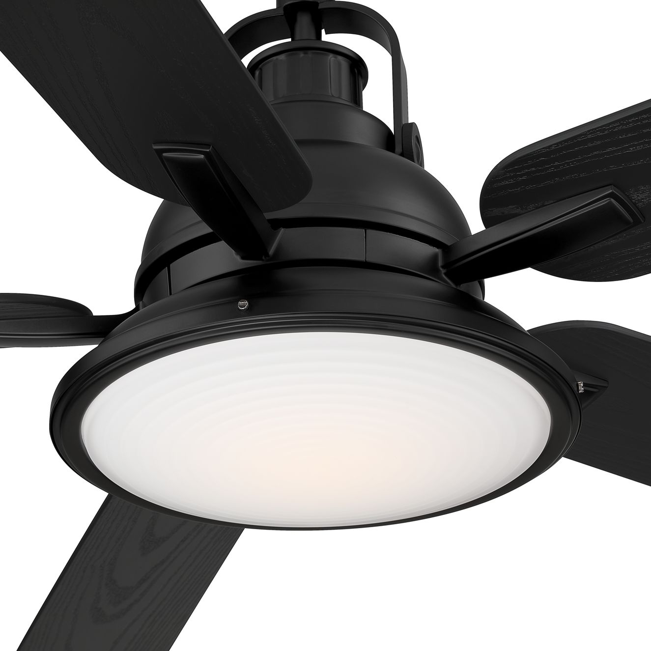 Image 4 60" Casa Vieja Wind and Sea Black LED Wet Rated Ceiling Fan more views