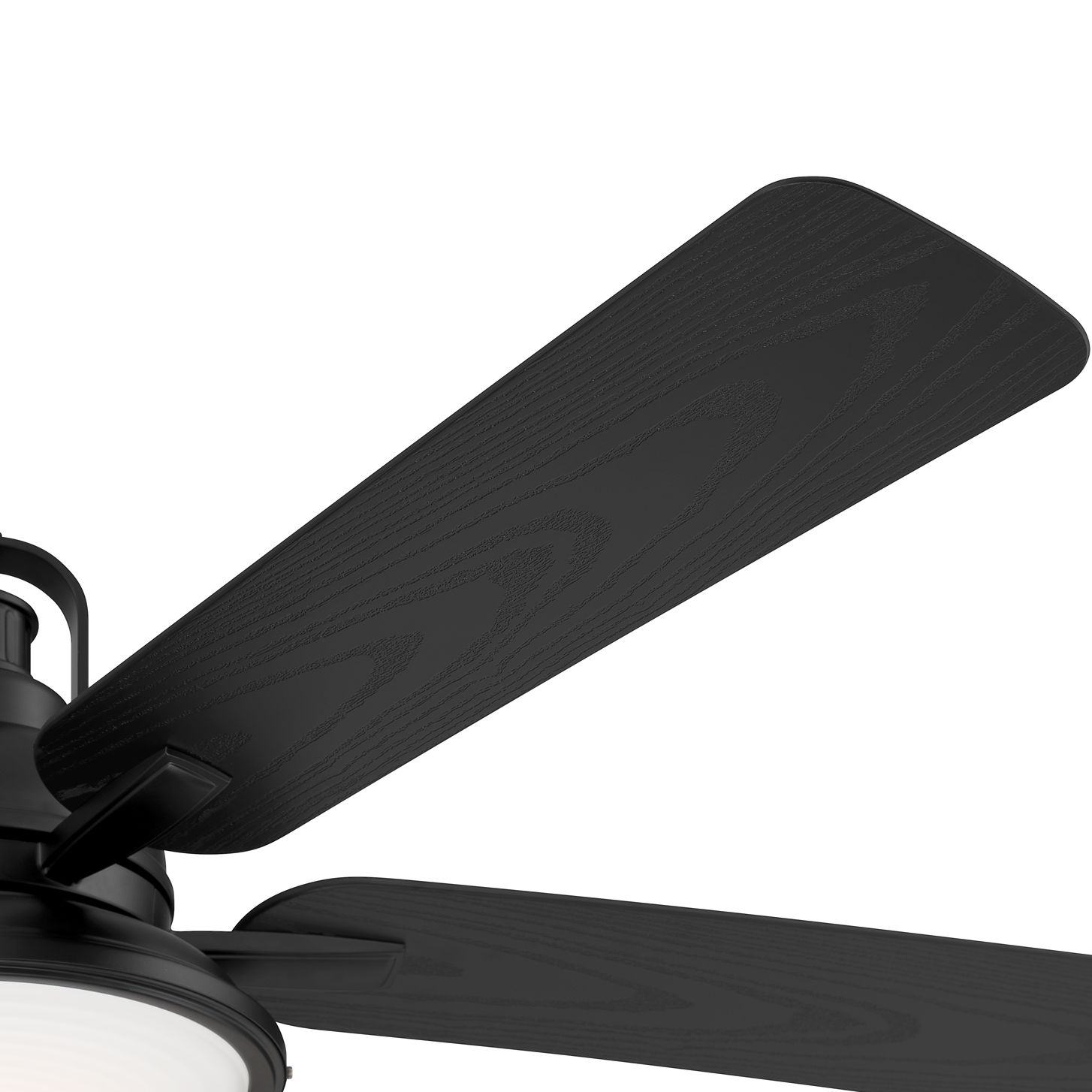 Image 5 60" Casa Vieja Wind and Sea Black LED Wet Rated Ceiling Fan more views
