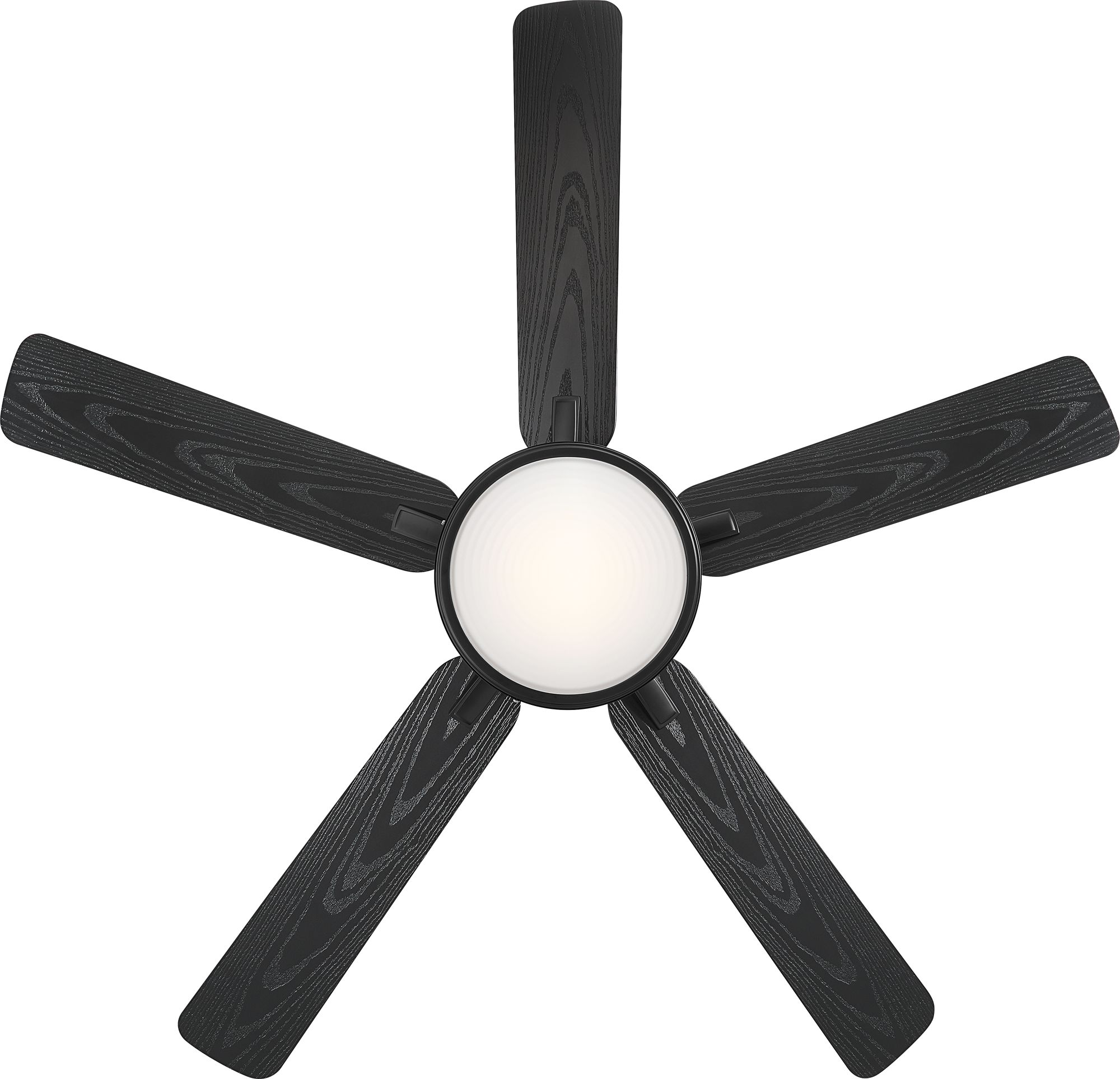 60" Casa Vieja Wind and Sea Black LED Wet Rated Ceiling Fan in scene