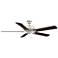 60" Fanimation Edgewood Brushed Nickel Outdoor Pull-Chain Ceiling Fan