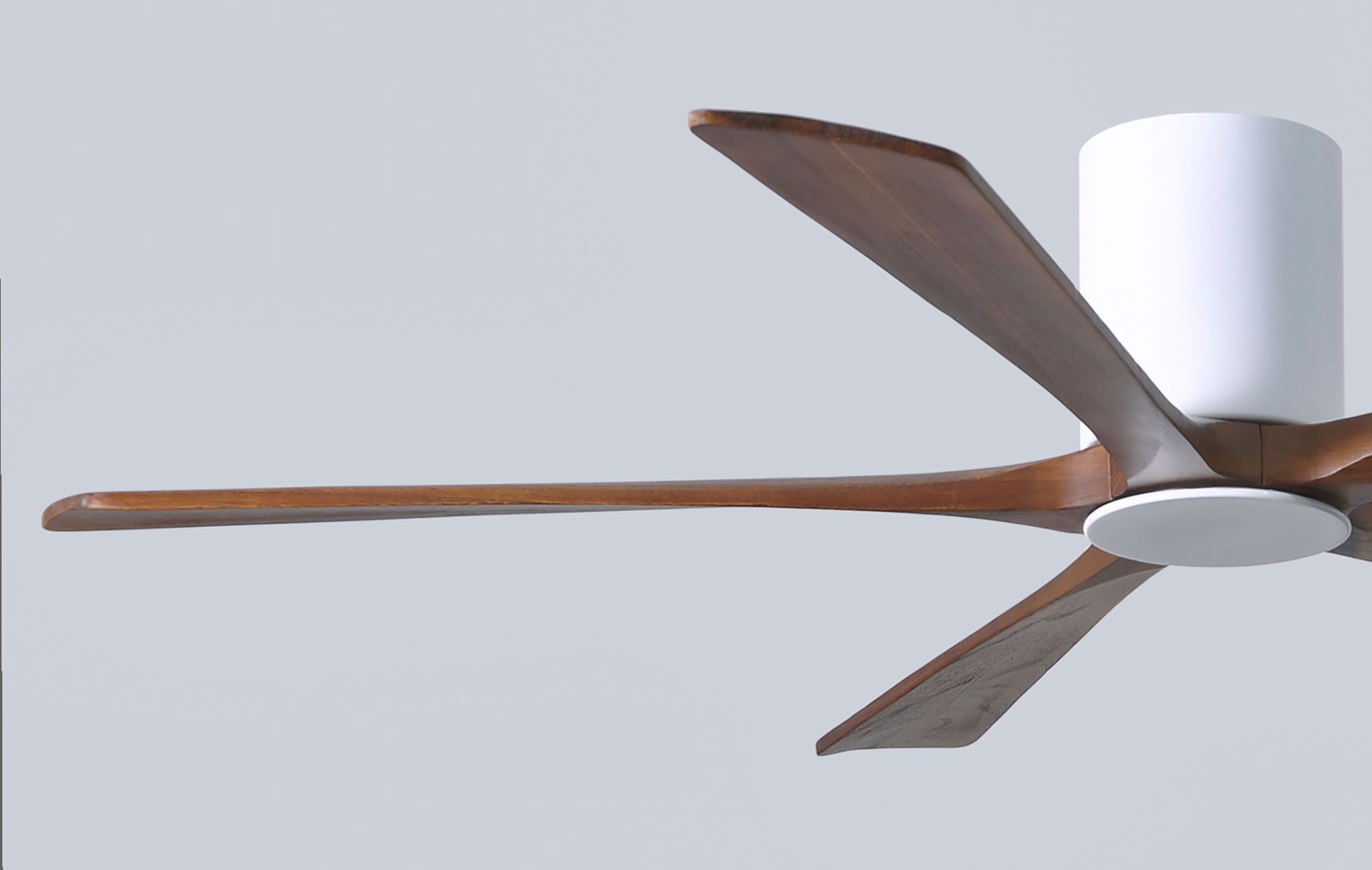 60" Irene-5HLK Gloss White and Walnut LED Ceiling Fan with Remote