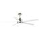 60" Maxim Daisy Satin Nickel LED Ceiling Fan with Wall Control
