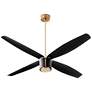 1_60" Oxygen Smaraan Brass and Black Damp Ceiling Fan with Wall Control