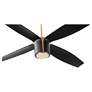 4_60" Oxygen Smaraan Brass and Black Damp Ceiling Fan with Wall Control more views