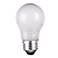 60 Watt A-15 Frosted Appliance Light Bulb