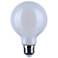 60 Watt Equivalent Satco White 6W LED Dimmable Standard Bulb