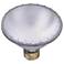 60 Watt Sylvania PAR30 Capsylite Light Bulb