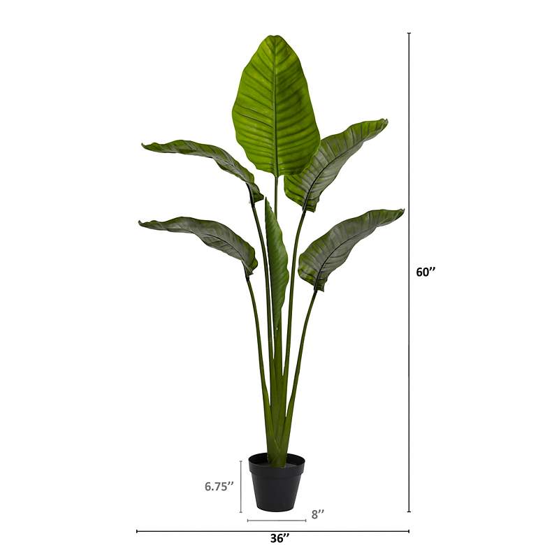Image 3 60in. Travelers Palm Tree UV Resistant (Indoor/Outdoor) more views
