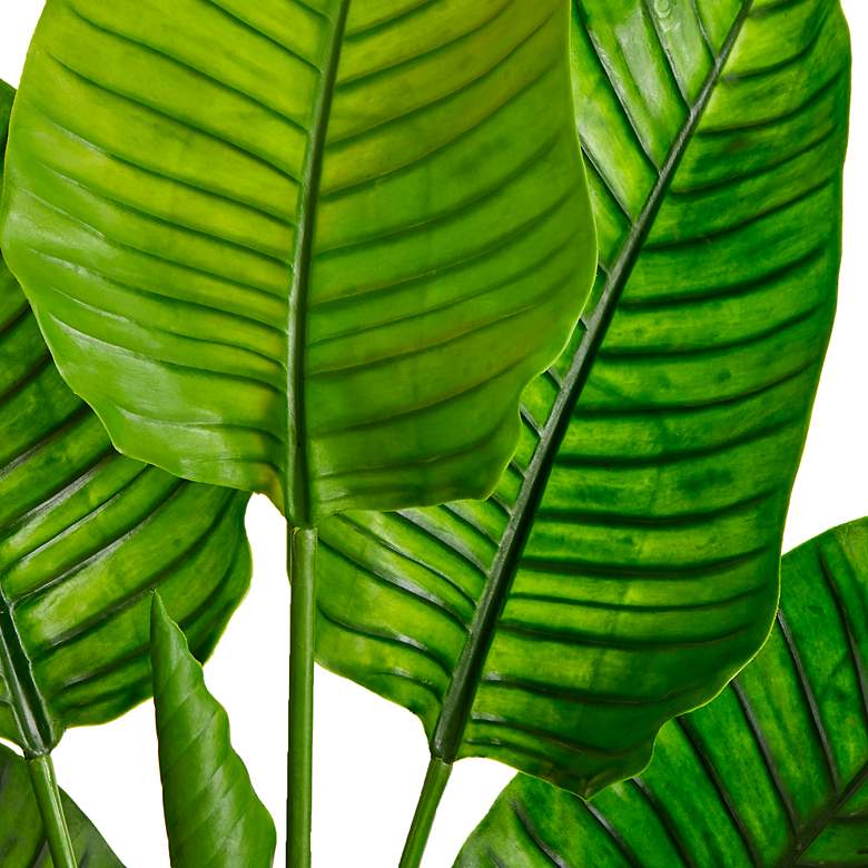 Image 4 60in. Travelers Palm Tree UV Resistant (Indoor/Outdoor) more views