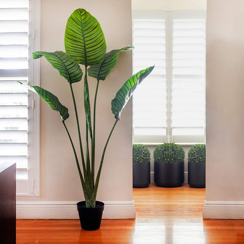 Image 5 60in. Travelers Palm Tree UV Resistant (Indoor/Outdoor) more views
