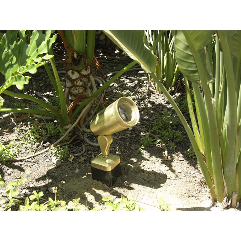 Image 1 Cast Brass Bullet 4 3/4" Low Voltage Landscape Light in scene