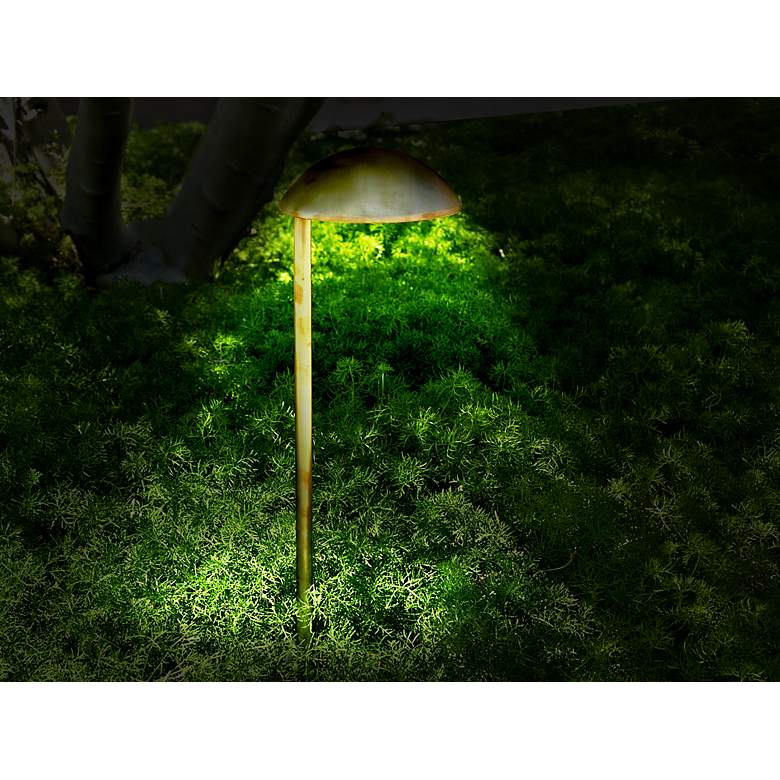 Image 1 Cast Brass Mushroom Hat Low Voltage Landscape Light in scene