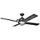 65" Kichler Maor LED Black Finish Damp Rated Pull Chain Ceiling Fan