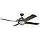 65" Kichler Maor LED Olde Bronze Cage Ceiling Fan with Pull Chain