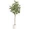6ft. Artificial Eucalyptus Tree with White Decorative Planter