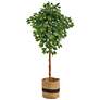 6ft. Artificial Ficus Tree with Handmade Jute &#38; Cotton Basket