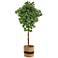 6ft. Artificial Ficus Tree with Handmade Jute & Cotton Basket