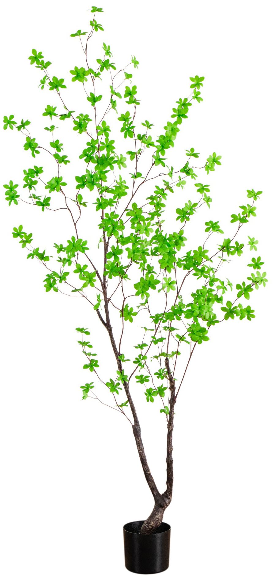 Image 2 6ft. Artificial Minimalist Enkianthus Tree