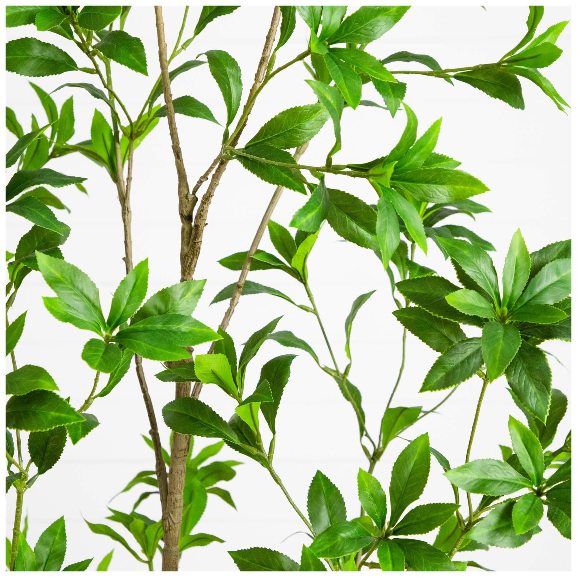 Image 4 6ft. Artificial Minimalist Japanese Pieris Tree more views