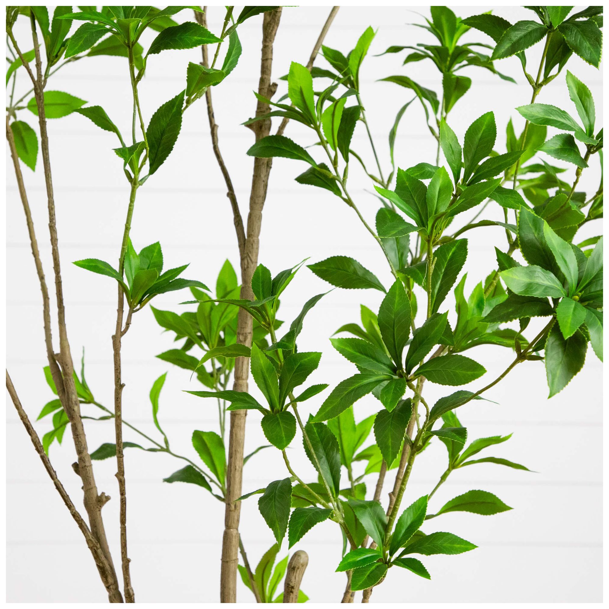 Image 5 6ft. Artificial Minimalist Japanese Pieris Tree more views