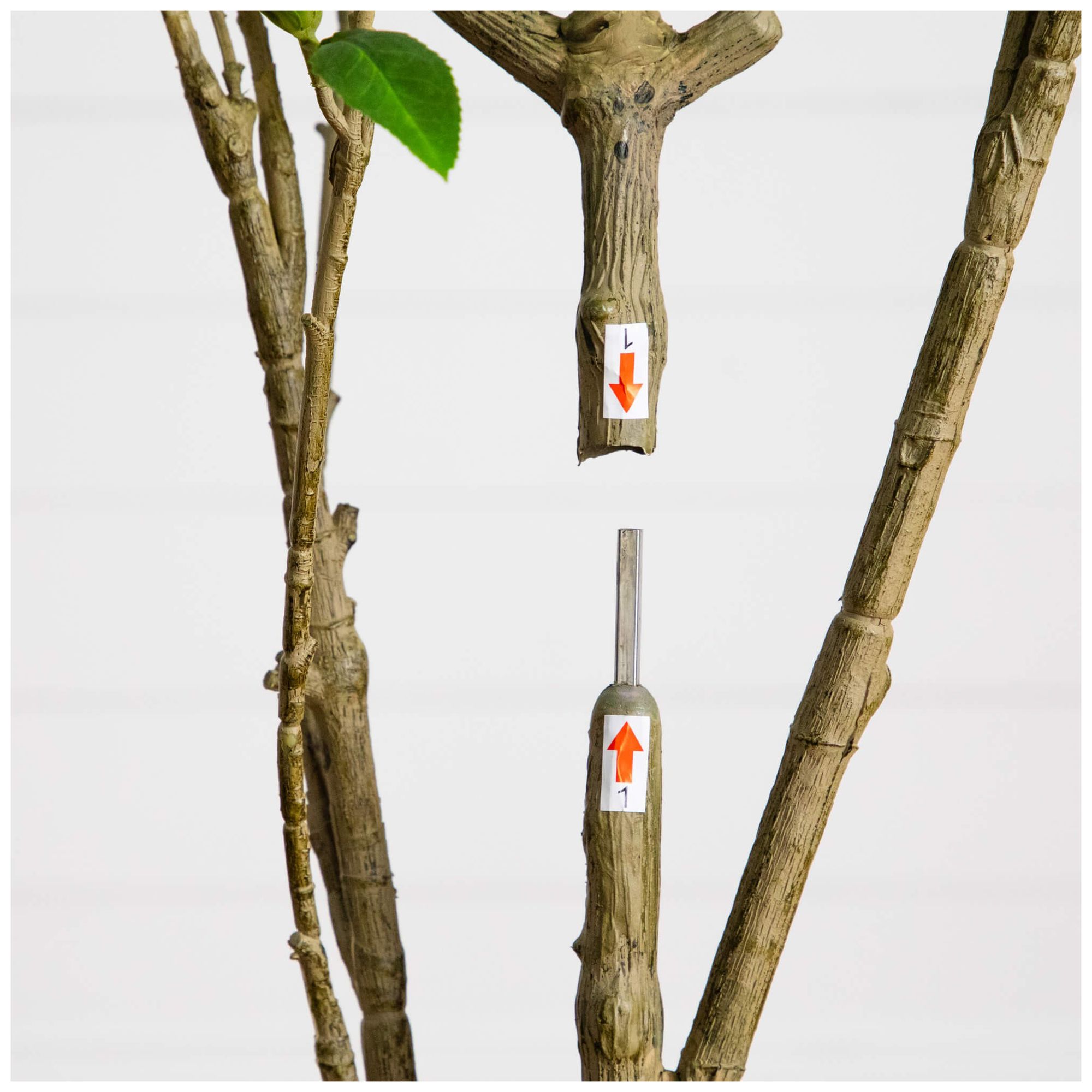 Image 6 6ft. Artificial Minimalist Japanese Pieris Tree more views